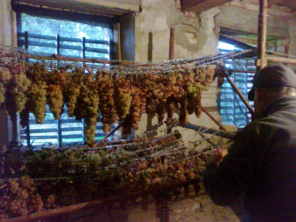 Agriturismo Il Cocco Montalcino Exterior photo