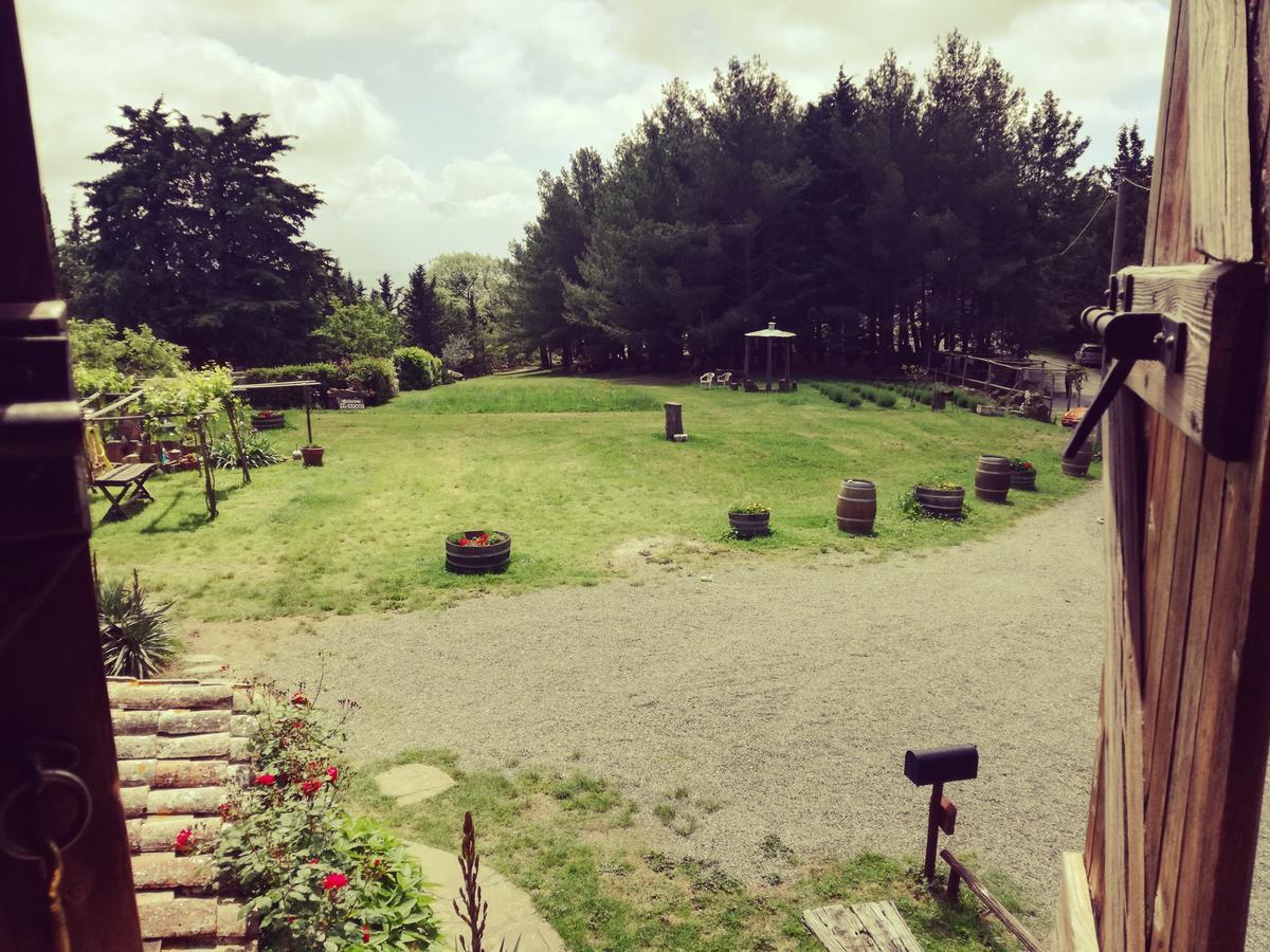 Agriturismo Il Cocco Montalcino Exterior photo